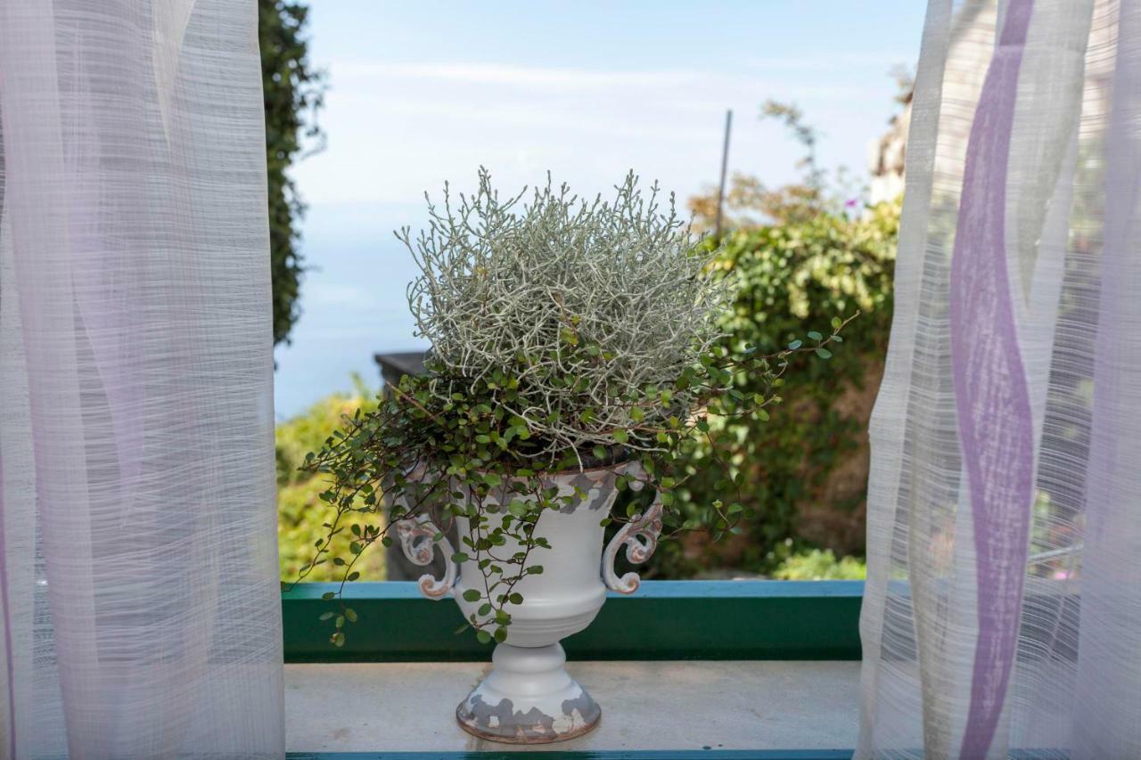 Holiday Home Lavanda Grubisic 图彻皮 外观 照片