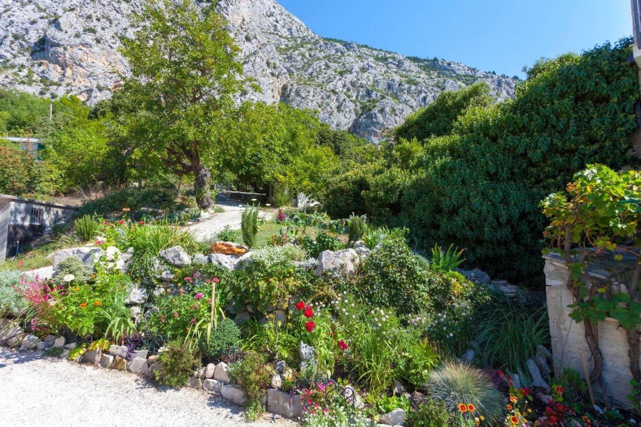 Holiday Home Lavanda Grubisic 图彻皮 外观 照片
